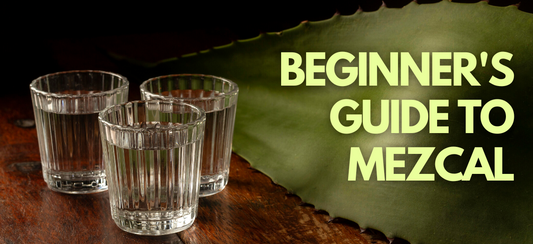 Beginner's Guide to Mezcal