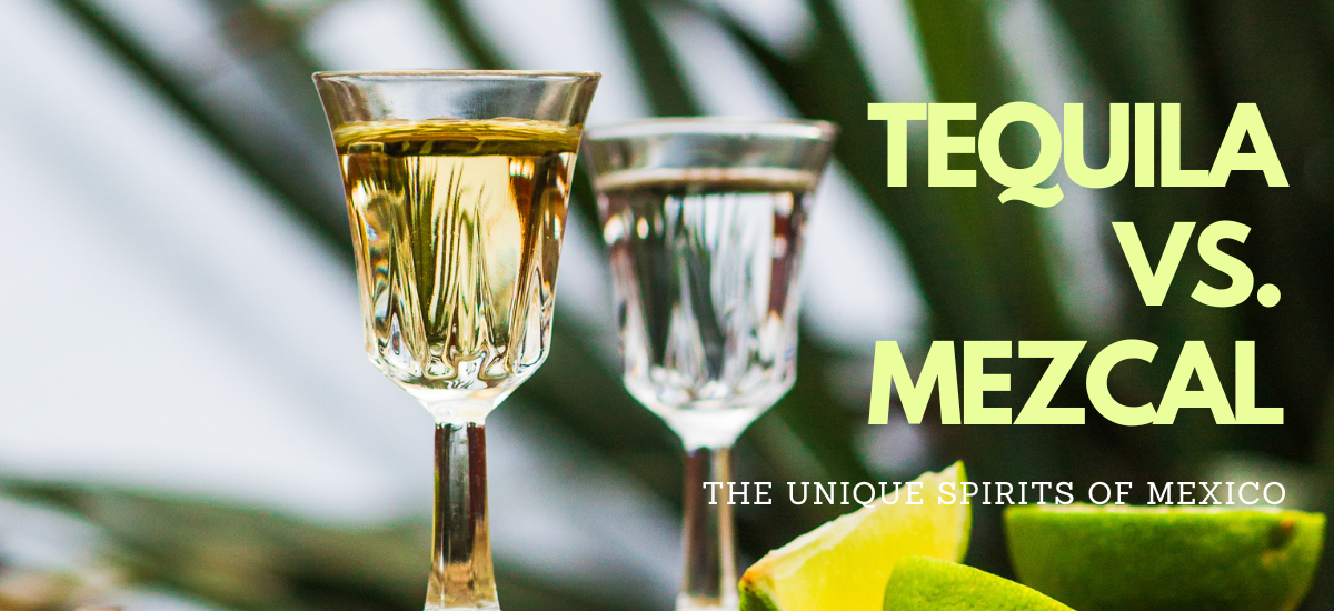 Tequila vs. Mezcal | The Unique Spirits of Mexico – Local Spirits TX