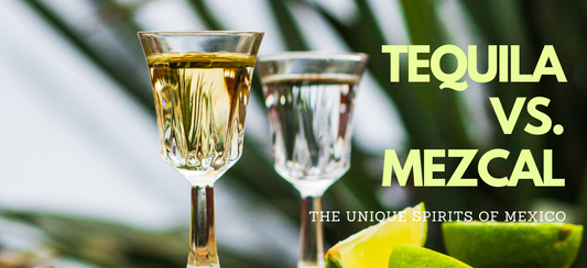 Tequila vs. Mezcal | The Unique Spirits of Mexico