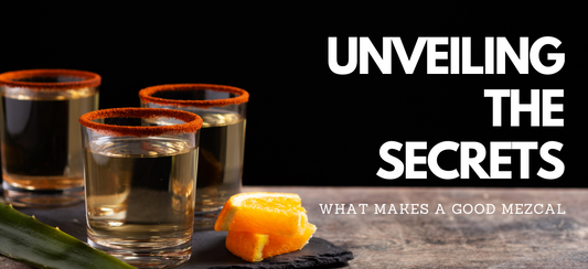 Unveiling the Secrets | What Makes a Good Mezcal